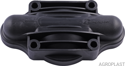 Capul pompei P-100
