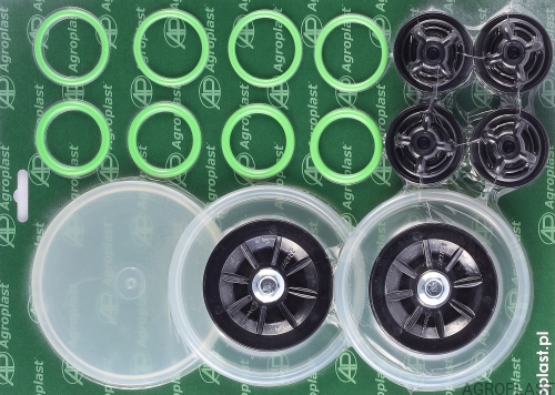 Komplet naprawczy pompy P-100 222558.jpg